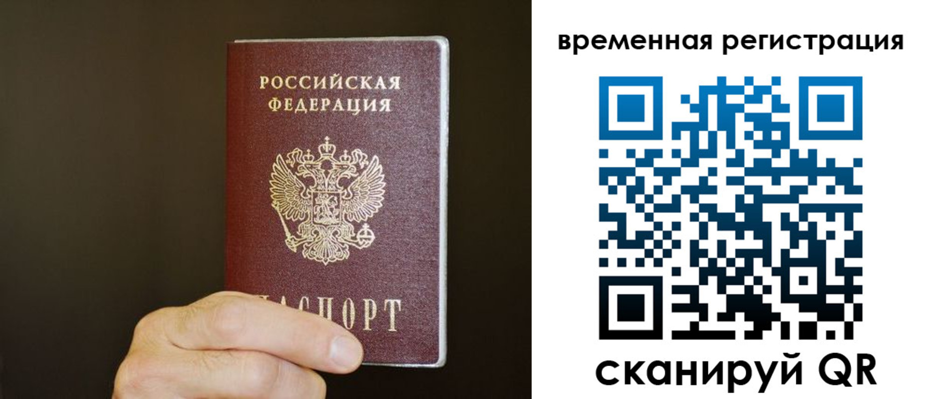 прописка гарантия в Карасуке